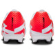 Nike Zoom Vapor 15 Academy FG/MG